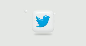 Twitter Bird Animation