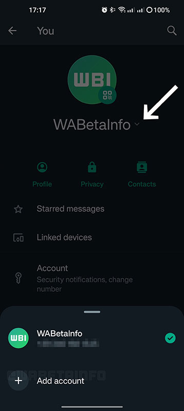 WhatsApp Multiple Accounts Screenshot