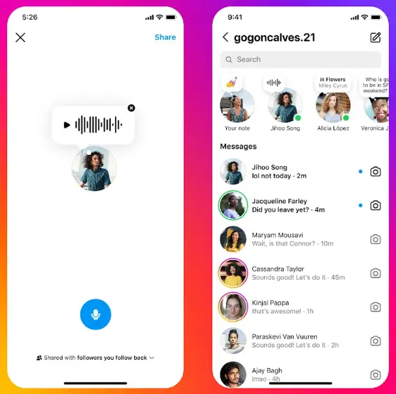 Audio Notes and Selfie Video Notes Instagram