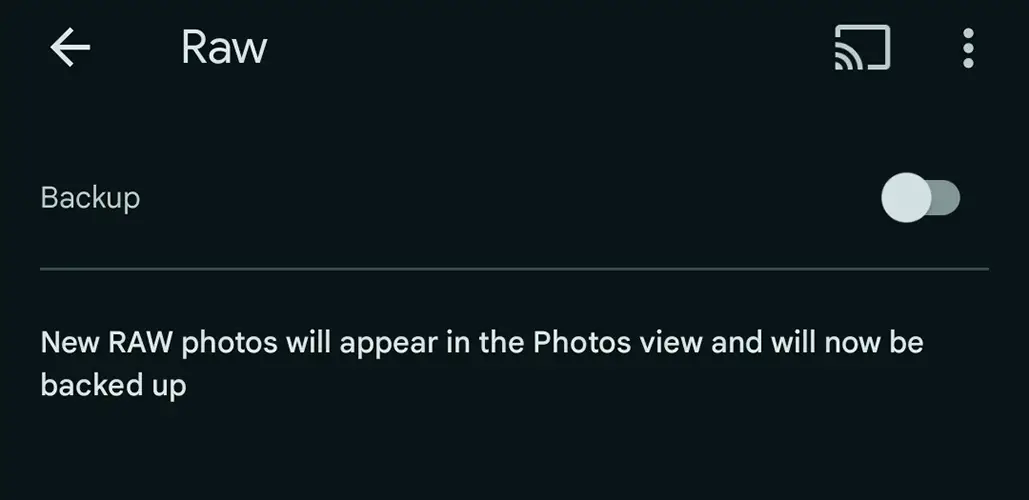 Google Photos RAW Photos Backup Options Screenshot