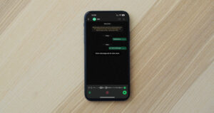 WhatsApp Voice Message View Once in Apple iPhone