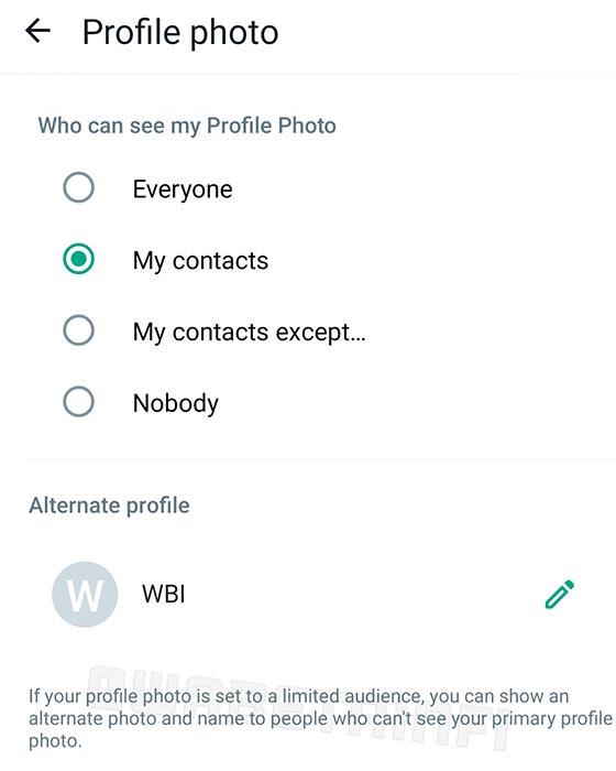 WhatsApp Alternate Profile Option Screenshot