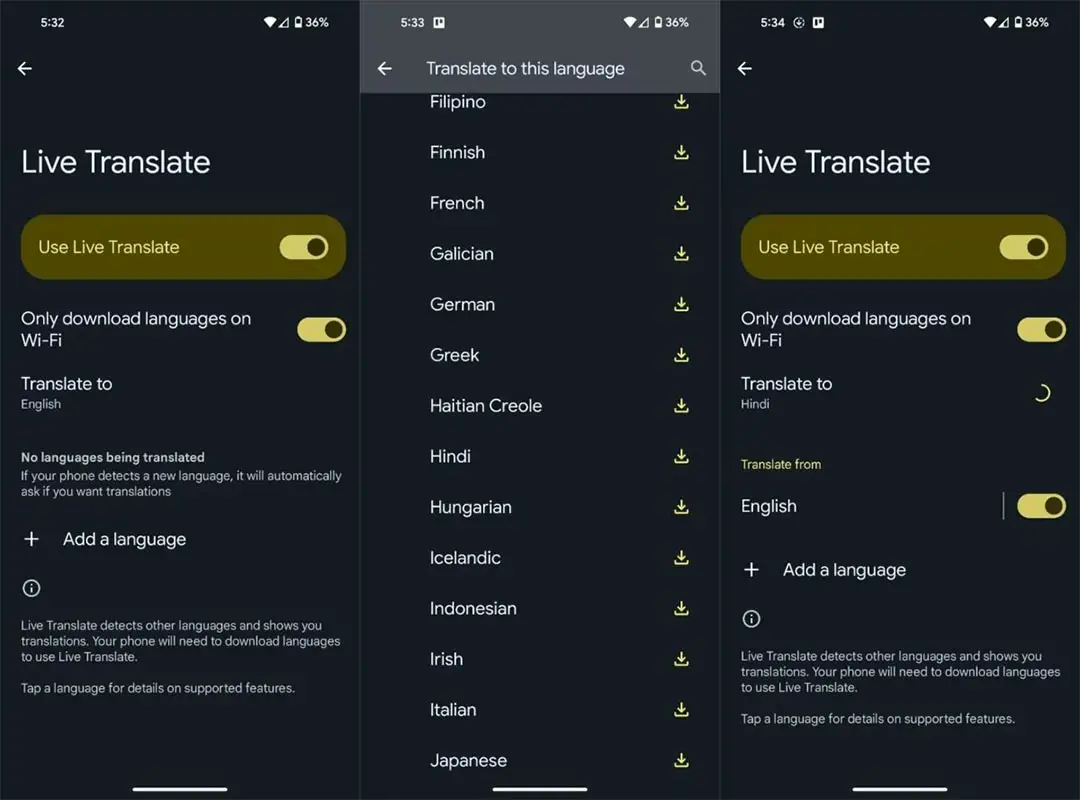 Google Live Translate Setup Screenshots