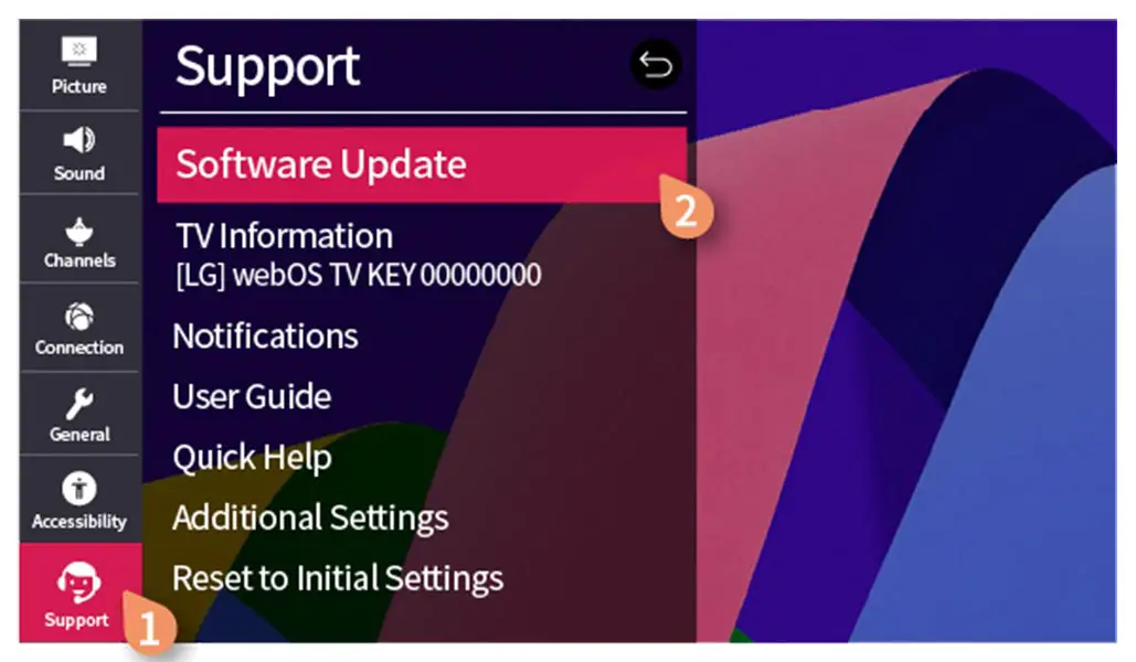 LG TV Software Update Settings