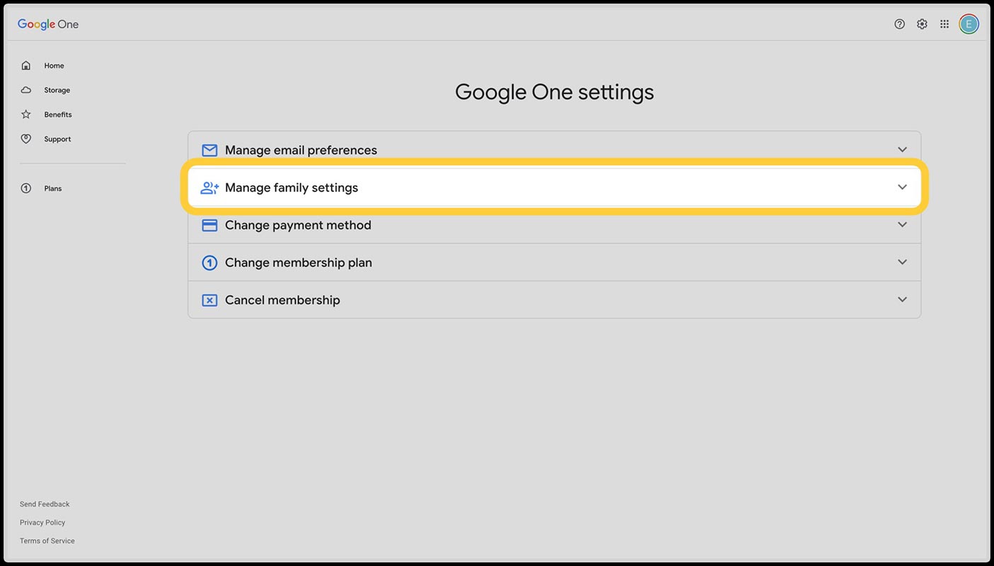 Google One Settings