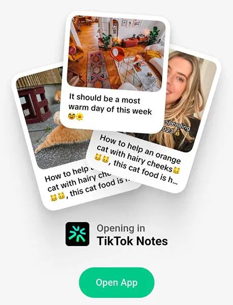TikTok Notes App Screenshot