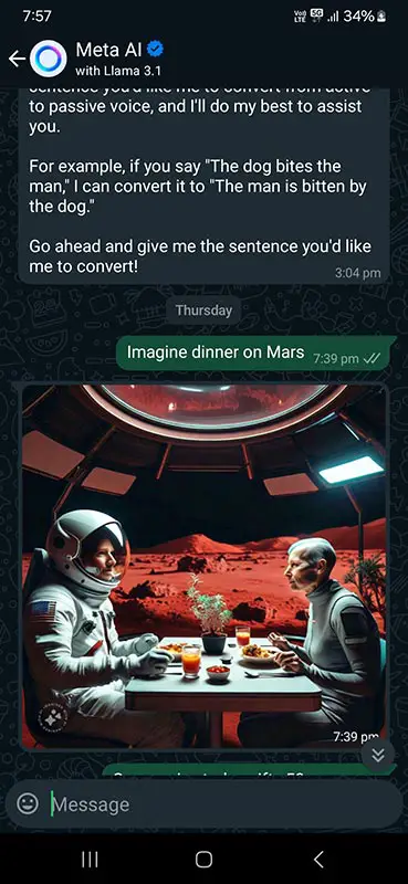 Meta AI Chat Screenshot