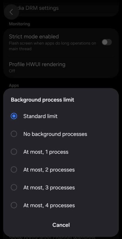 Background Process Developer Options