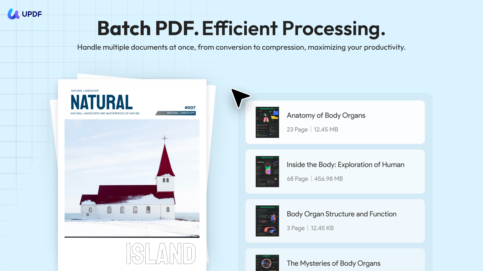Batch PDF
